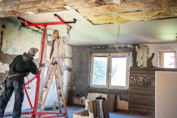 Best Types of Insulation in Minneota, MN